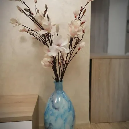 Apartmán Angy Moonlight Mamaia